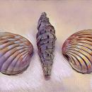 Uživatelský avatar