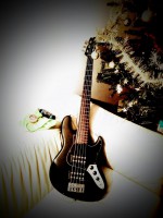 JazzMusicBassMan Kobrle 05.jpg