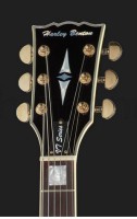 headstock Harley Benton.jpg