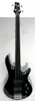 i-apollo-dnb-1450-fl-fretless.jpg