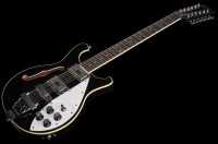 HB 12 str kytara.jpg