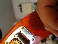 20201007_092926.jpg