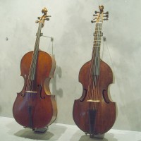Cello a  Gamba