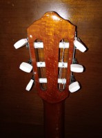 kytara02.jpg