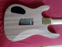 HB Mahogany body 1.jpg