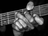 Hound Dog Taylor.jpg