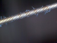 Digital microscope-12.2-23;5;41;209.jpeg