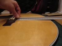 IMG_6542.jpg