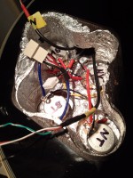 elektrika Fokus LP Custom.jpg