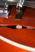 DSC05506.JPG