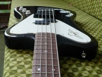 my TBV body reverse.jpg