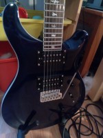 PRS 1.jpg