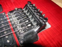 tremolo 001.jpg