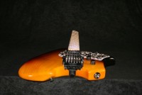 Klein-Guitar-with-Torzal-Twist-Neck.jpg