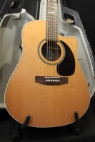 Seagull Artist Mosaic Quantum II.jpg