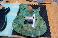 BlacKat Guitars 7 String