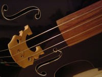 DSC05158.JPG