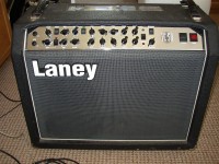 laney%20001.JPG