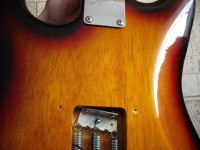 DSCF2110.JPG