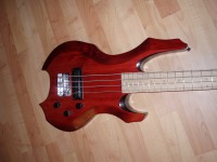 P1010117bass.JPG