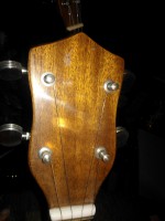 WP_002245.jpg
