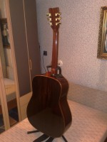 kytara Meipet 024.jpg