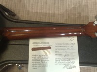 kytara Meipet 041.jpg