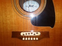 kytara Meipet 027.jpg