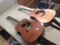 kytara Meipet 016.jpg