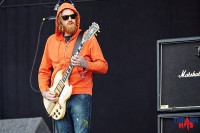 mastodon_40551.jpg