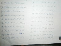 PB290071.JPG