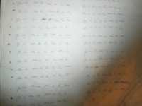 PB290073.JPG