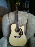 Takamine P7DC
