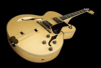 epiphone broadway.jpg