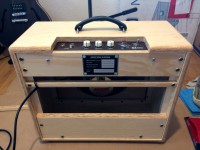 laney-cub-blonde (1).jpg