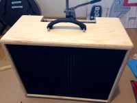 laney-cub-blonde (2).jpg