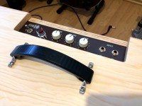 laney-cub-blonde (3).jpg