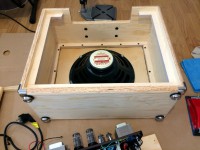 blonde-cub-blonde (4).jpg