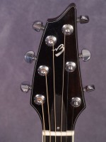 20U-12562_headstock-front.jpg